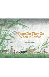 Where Do They Go When It Rains?