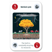Nutrient Cycle​