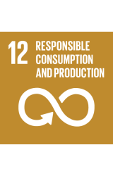 Goal 12 - Responsible Consumption and Production 