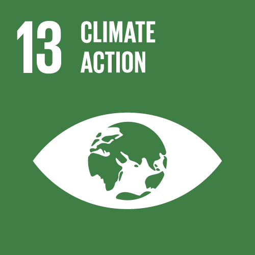 Goal 13 - Climate Action